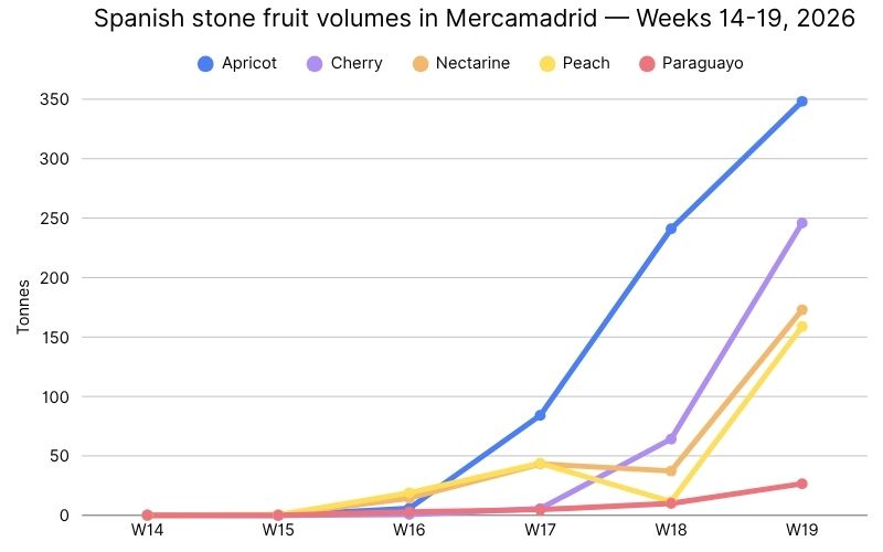 Spanish stone fruit volumes in Mercamadrid  — Weeks 14-19, 2026 (1).jpg
